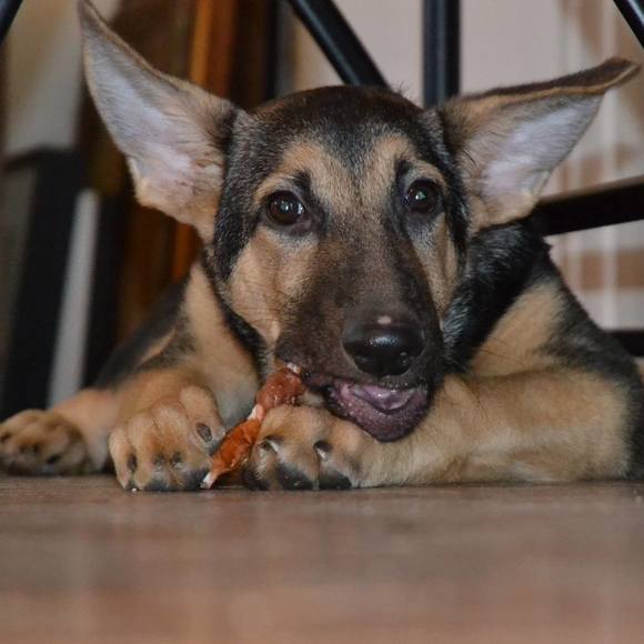 Meet your Posher, Ian - Picture 1 of 1